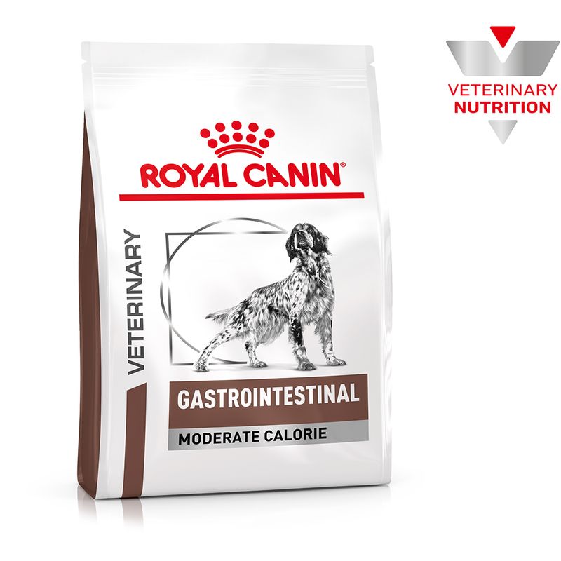 Zooplus Royal Canin Gastrointestinal Moderate Calorie Canine Veterinary Crocchette per cani