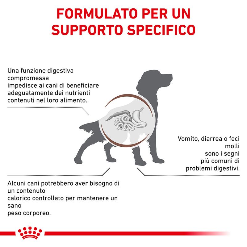 Zooplus Royal Canin Gastrointestinal Moderate Calorie Canine Veterinary Crocchette per cani Pezzi Unici
