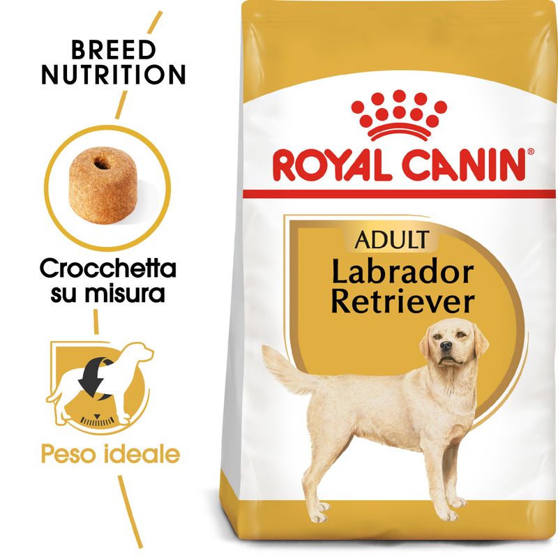 Zooplus Royal Canin Labrador Retriever Adult Crocchette cane Qualità Garantita