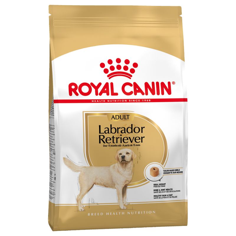 Zooplus Royal Canin Labrador Retriever Adult Crocchette cane Qualità Garantita