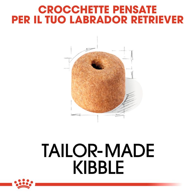 Zooplus Royal Canin Labrador Retriever Adult Crocchette cane Qualità Garantita