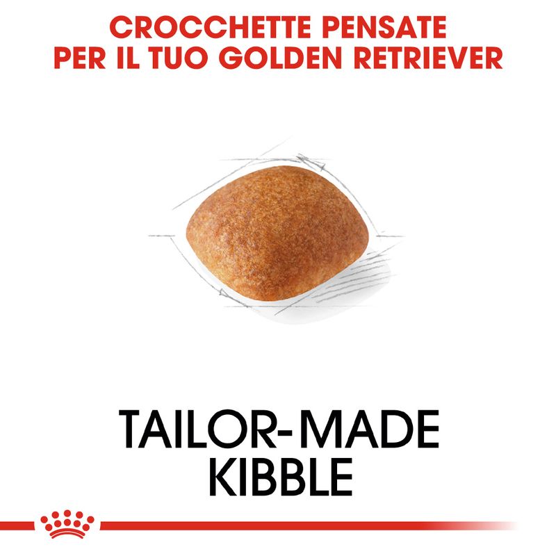 Zooplus Royal Canin Golden Retriever Adult Crocchette per cane Acquista Ora