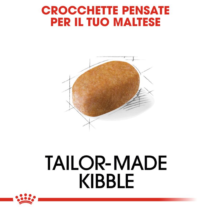 Zooplus Royal Canin Maltese Adult Crocchette per cane Consegna Veloce
