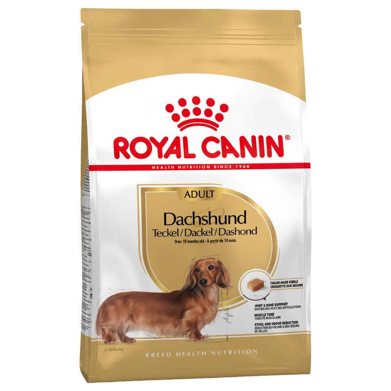 Zooplus Royal Canin Bassotto (Dachshund) Adult Crocchette Promozione Limitata