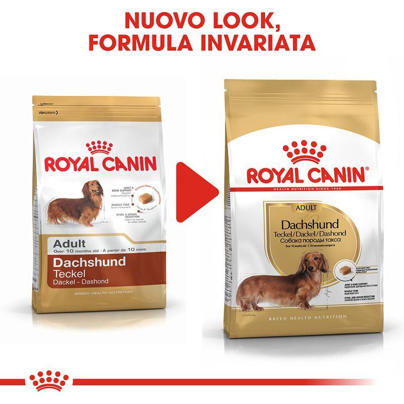 Zooplus Royal Canin Bassotto (Dachshund) Adult Crocchette Promozione Limitata
