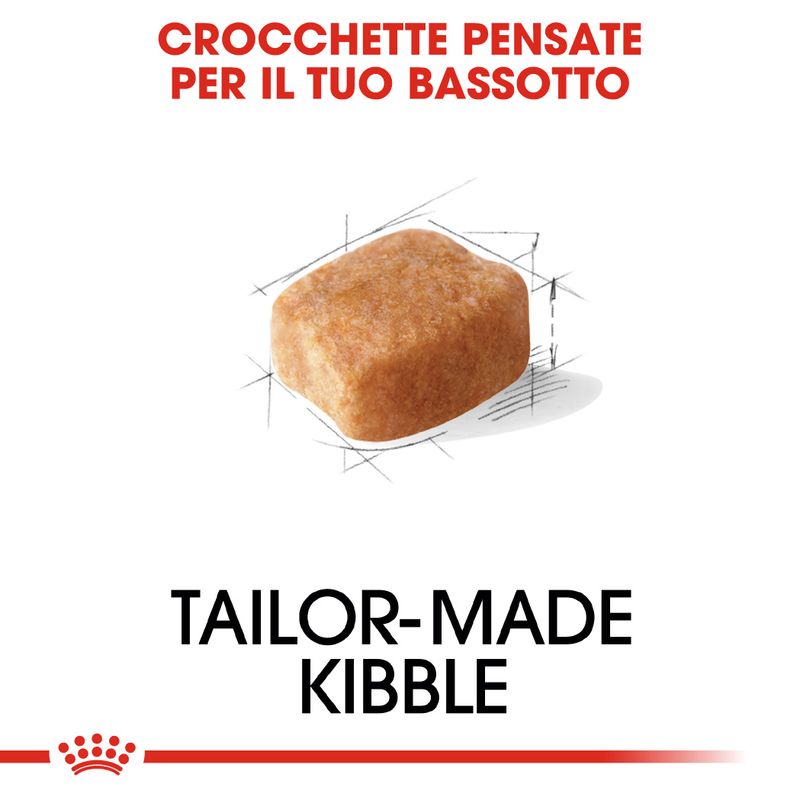 Zooplus Royal Canin Bassotto (Dachshund) Adult Crocchette Promozione Limitata