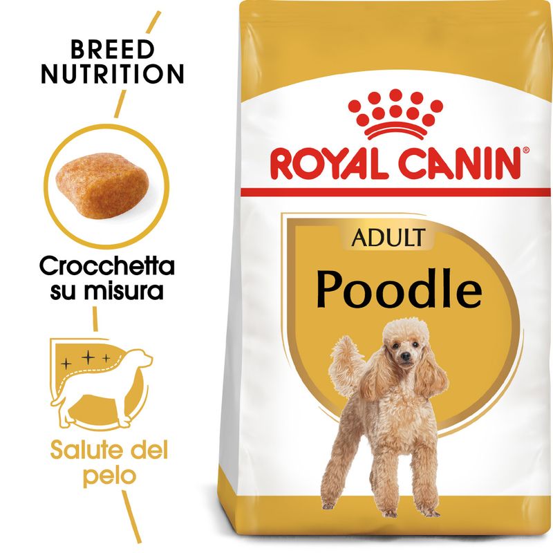Zooplus Royal Canin Barboncino (Poodle) Adult Crocchette per cane