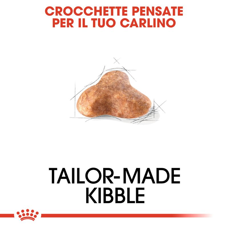 Zooplus Royal Canin Carlino (Pug) Adult Crocchette Shopping Online