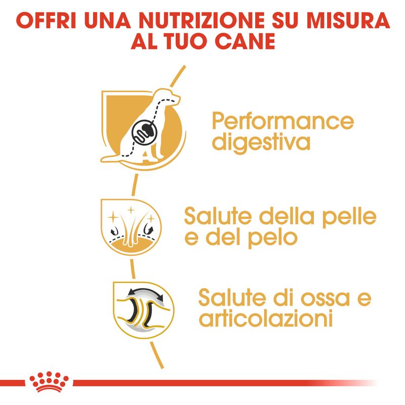 Zooplus Royal Canin Pastore tedesco (German Shepherd) Adult Crocchette per cane Affare Del Giorno