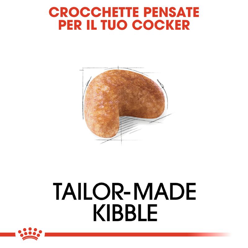 Zooplus Royal Canin Cocker Adult Crocchette per cane Prezzo Ridotto