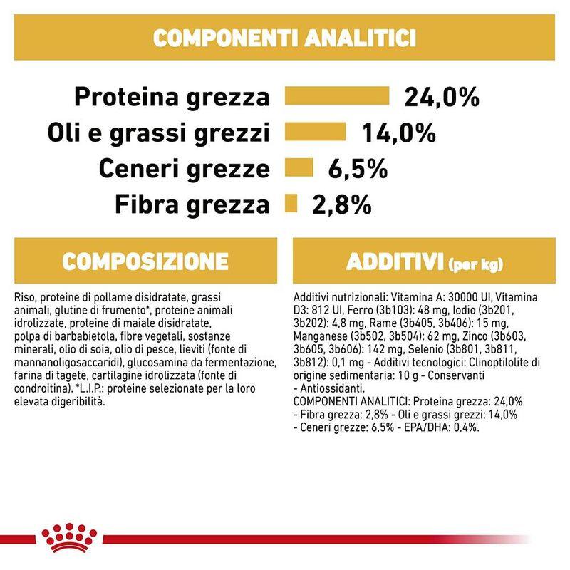 Zooplus Royal Canin Bulldog Adult Crocchette per cane Sottocosto