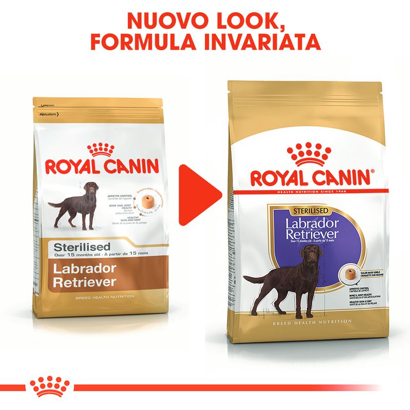 Zooplus Royal Canin Sterilised Labrador Retriever Adult Crocchette per cane Presa
