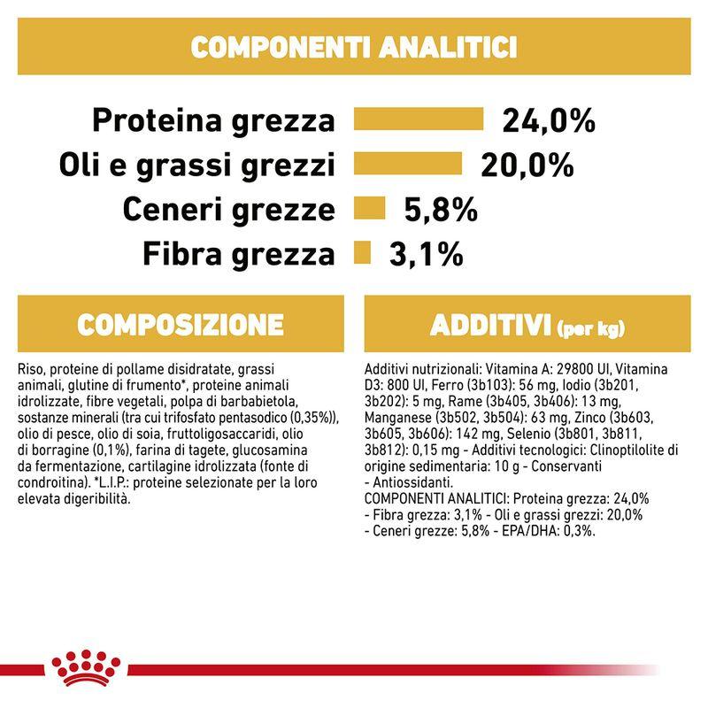 Zooplus Royal Canin Shih Tzu Adult Crocchette per cane Economico