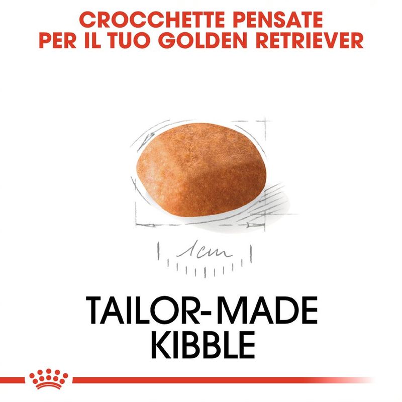 Zooplus Royal Canin Golden Retriever Puppy Crocchette per cane Online