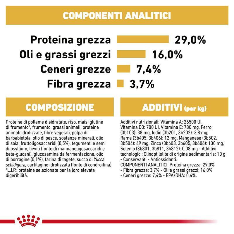 Zooplus Royal Canin Golden Retriever Puppy Crocchette per cane Online