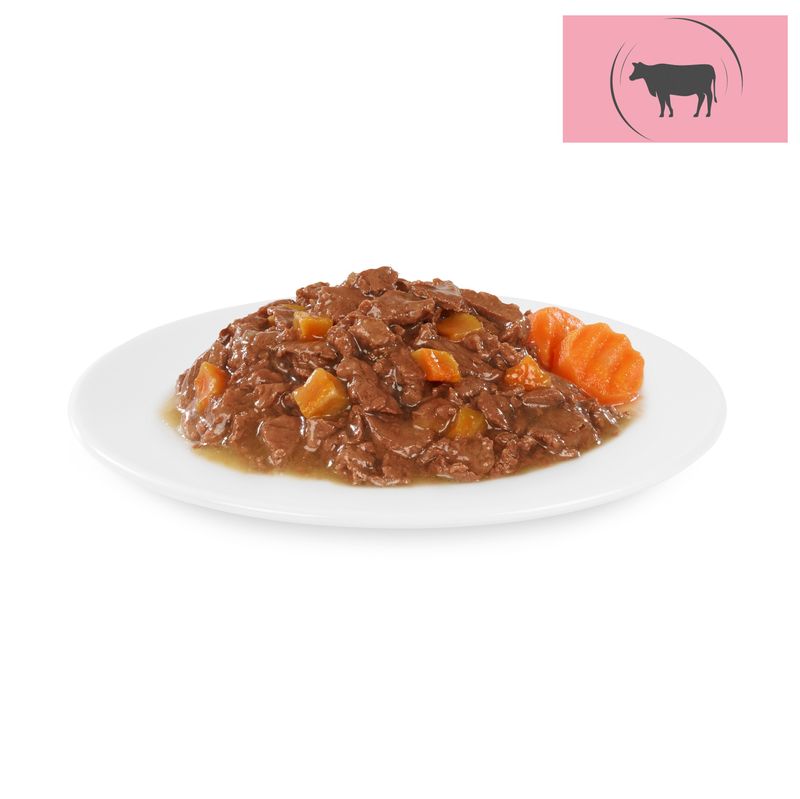 Zooplus Briantos in buste 4 x 100 g Pacco misto Umido per cane In Vendita