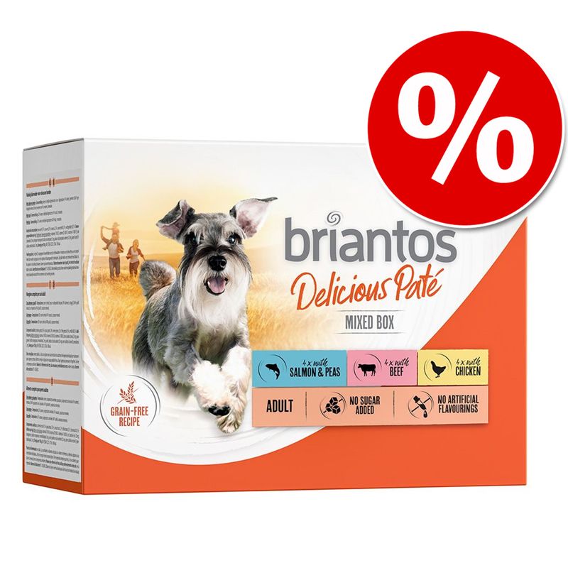 Zooplus Briantos Delicious Paté 48 x 100 g Umido per cane Offerte