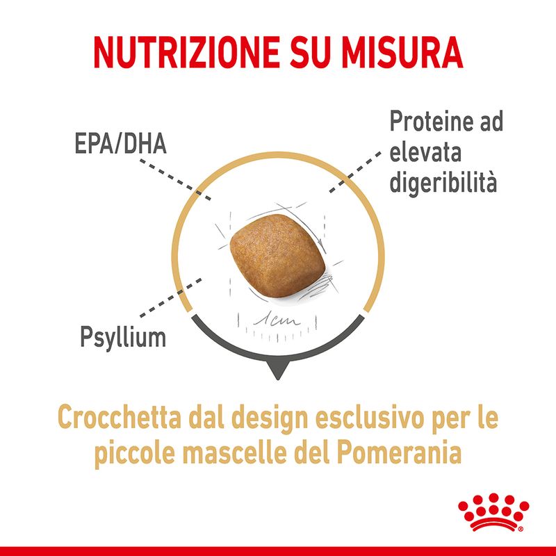 Zooplus Royal Canin Volpino di Pomerania (Pomeranian) Adult Crocchette Offerta Anniversario