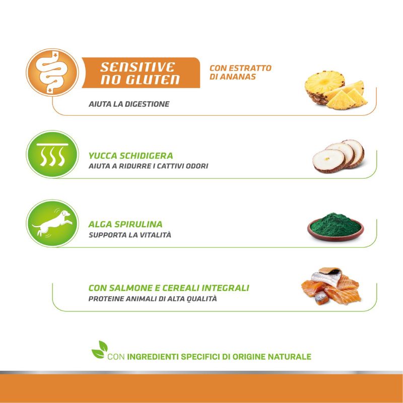 Zooplus Natural Trainer Sensitive No Gluten Adult Small Monoproteico con Salmone Vendita calda