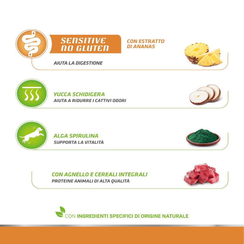 Zooplus Natural Trainer Sensitive No Gluten Adult Small Monoproteico con Agnello Offerta migliore