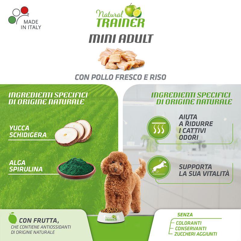 Zooplus Natural Trainer Adult Small & Toy con Pollo fresco & Riso Bestseller