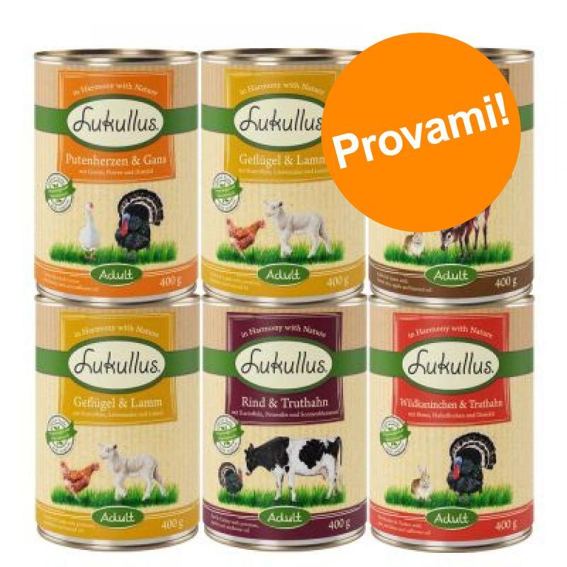 Zooplus Set prova misto Lukullus Naturkost 6 x 400 g