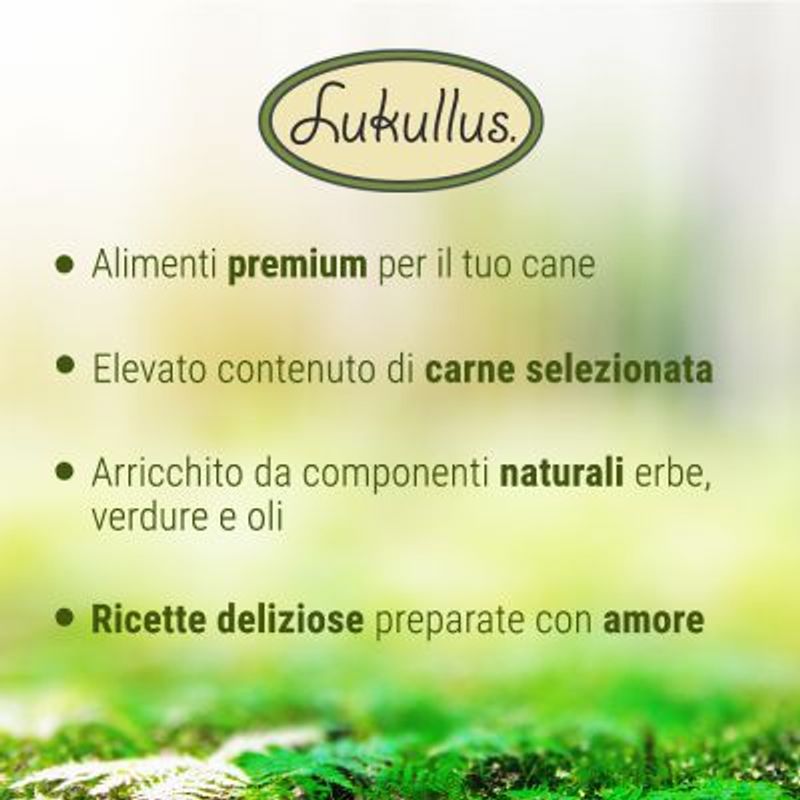 Zooplus senza cereali per cane Promozione