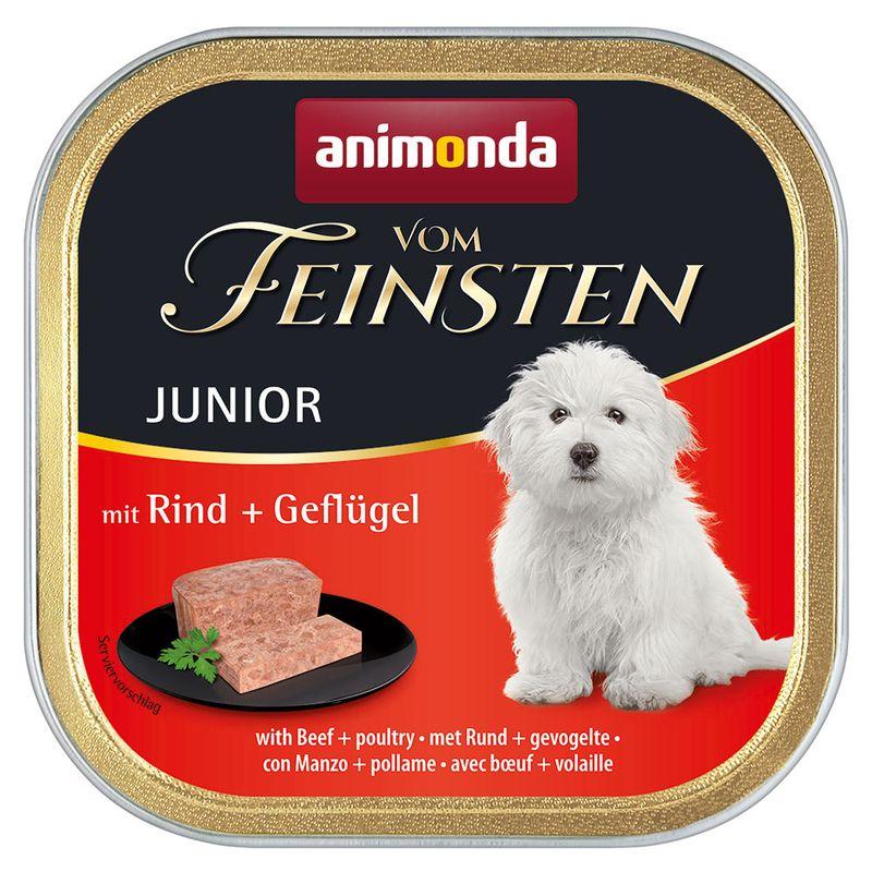 Zooplus animonda Vom Feinsten Junior Senza Cereali 6 x 150 g umido per cani