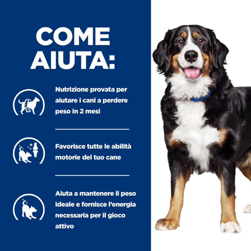 Zooplus Hill's Prescription Diet Metabolic + Mobility Patè umido per cane Bestseller
