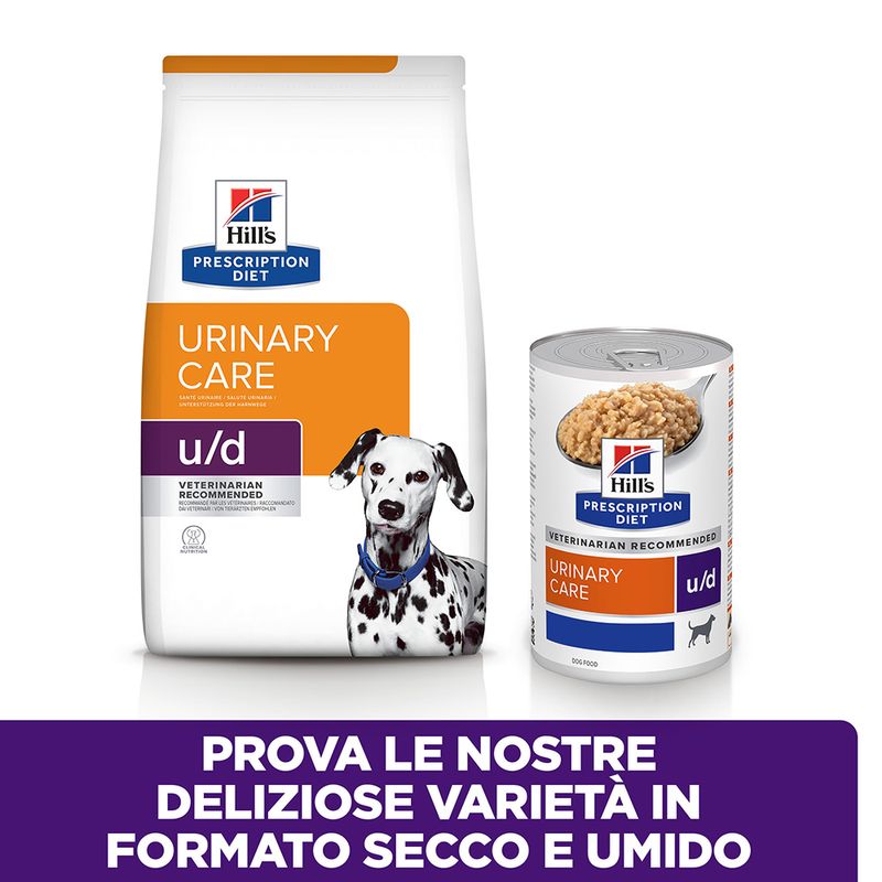 Zooplus Hill's Prescription Diet u/d Urinary Care umido per cani Comprane uno, ottenene uno gratis