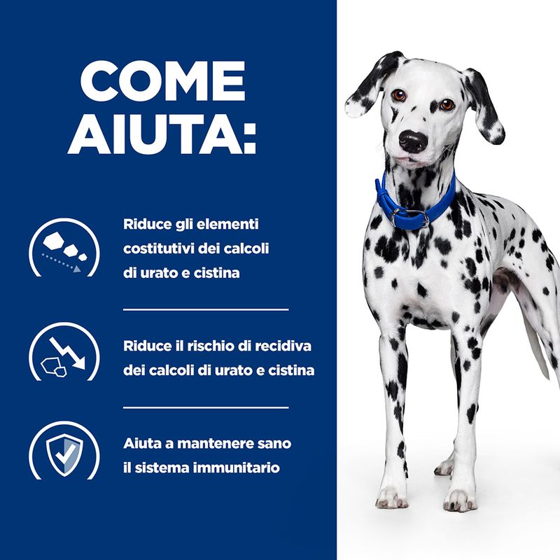 Zooplus Hill's Prescription Diet u/d Urinary Care umido per cani Comprane uno, ottenene uno gratis