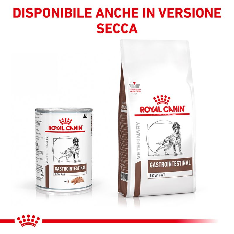 Zooplus Royal Canin Gastrointestinal Low Fat Veterinary Patè umido per cane Ultimo giorno
