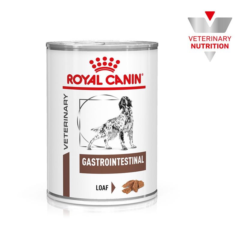 Zooplus Royal Canin Canine Gastrointestinal Veterinary Patè umido per cane