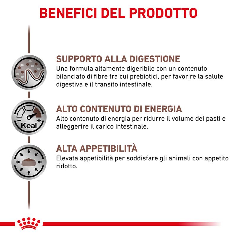 Zooplus Royal Canin Canine Gastrointestinal Veterinary Patè umido per cane Promozione temporanea