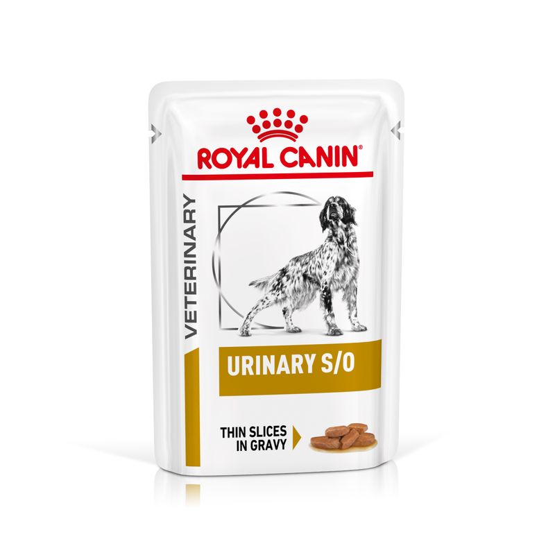 Zooplus Royal Canin Urinary S/O Canine Veterinary umido in salsa per cane