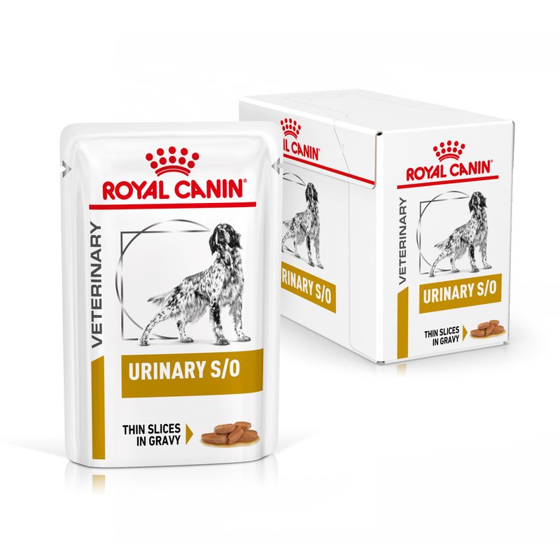 Zooplus Royal Canin Urinary S/O Canine Veterinary umido in salsa per cane Fino al 50% di sconto