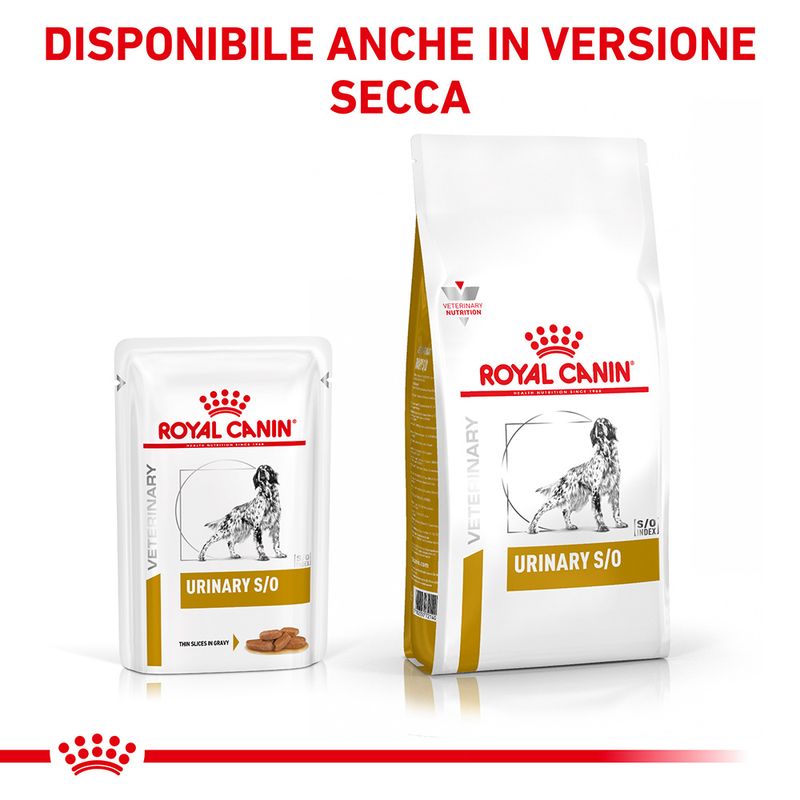 Zooplus Royal Canin Urinary S/O Canine Veterinary umido in salsa per cane Fino al 50% di sconto