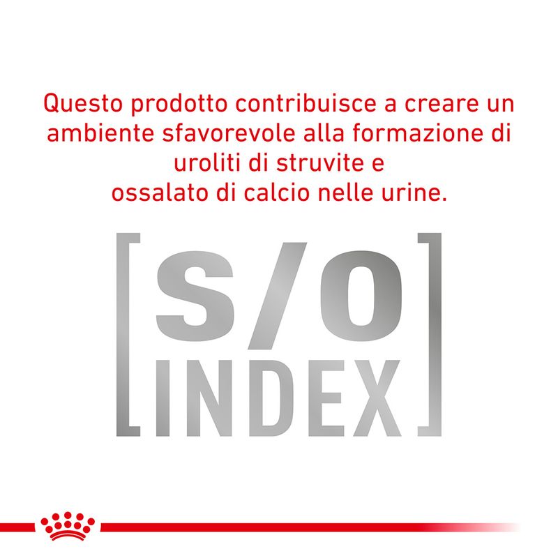 Zooplus Royal Canin Canine Satiety Weight Management Veterinary Umido in Mousse per cane Only for today