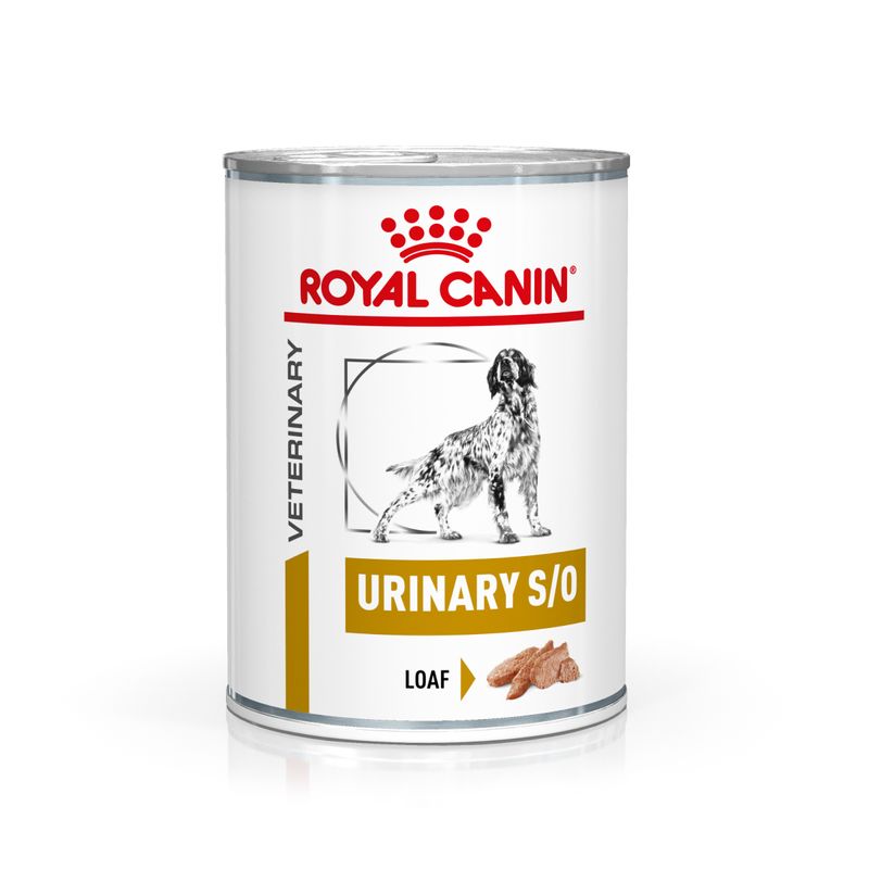 Zooplus Royal Canin Urinary S/O Canine Veterinary Mousse umido per cane