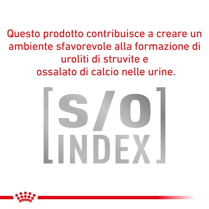 Zooplus Royal Canin Urinary S/O Canine Veterinary Mousse umido per cane Offerta speciale della fabbrica