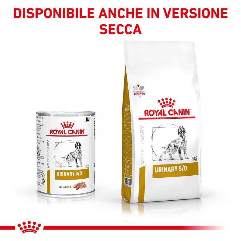 Zooplus Royal Canin Urinary S/O Canine Veterinary Mousse umido per cane Offerta speciale della fabbrica