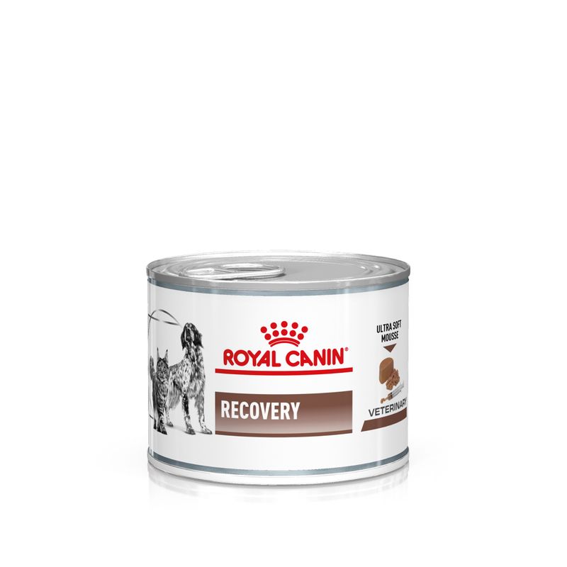 Zooplus Royal Canin Recovery Veterinary Mousse cane e gatto Sostegno trimestrale