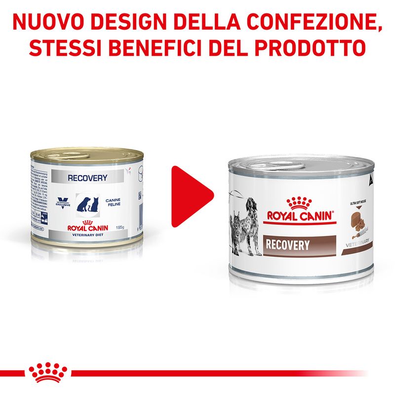 Zooplus Royal Canin Recovery Veterinary Mousse cane e gatto Sostegno trimestrale