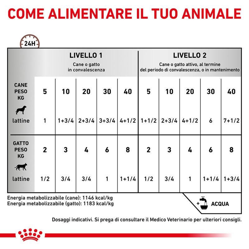 Zooplus Royal Canin Recovery Veterinary Mousse cane e gatto Sostegno trimestrale