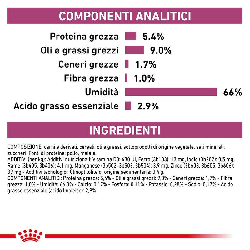 Zooplus Royal Canin Renal Veterinary Mousse umido cane Discount Store per i nuovi prodotti