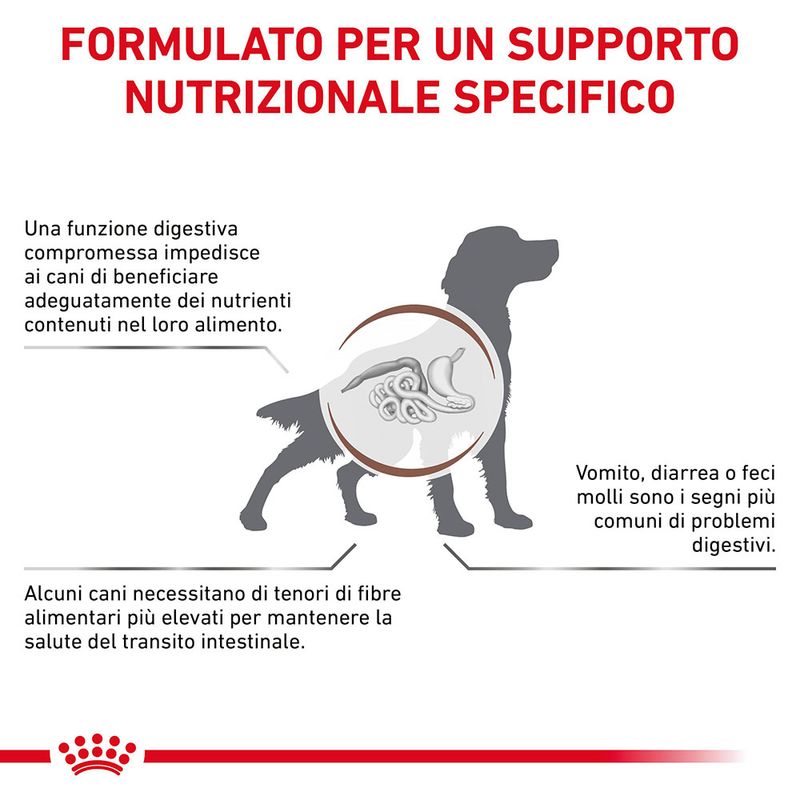 Zooplus Royal Canin Gastrointestinal High Fibre Veterinary Canine Mousse per cane 50% di sconto con spedizione gratuita