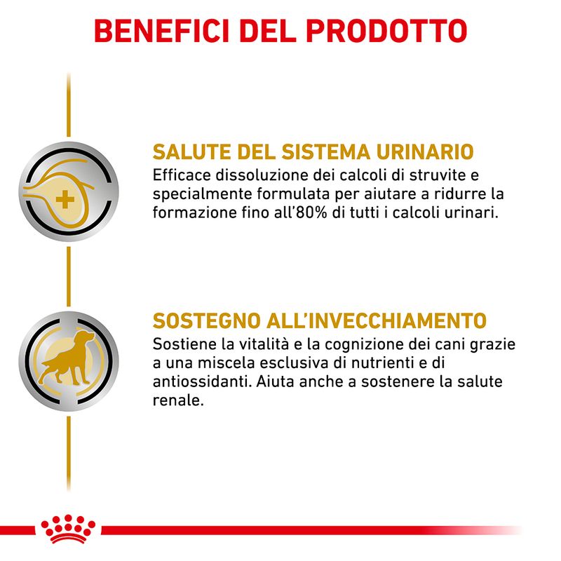 Zooplus Royal Canin Urinary S/O Ageing 7+ Veterinary Patè umido per cane Trasporto libero internazionale