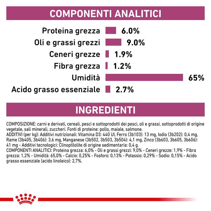 Zooplus Royal Canin Renal Special Canine Veterinary Mousse umido per cane Officina