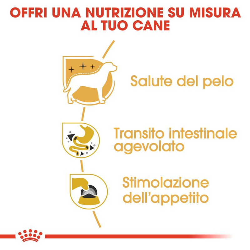 Zooplus Royal Canin Chihuahua Mousse umido per cane Prezzo di fabbrica