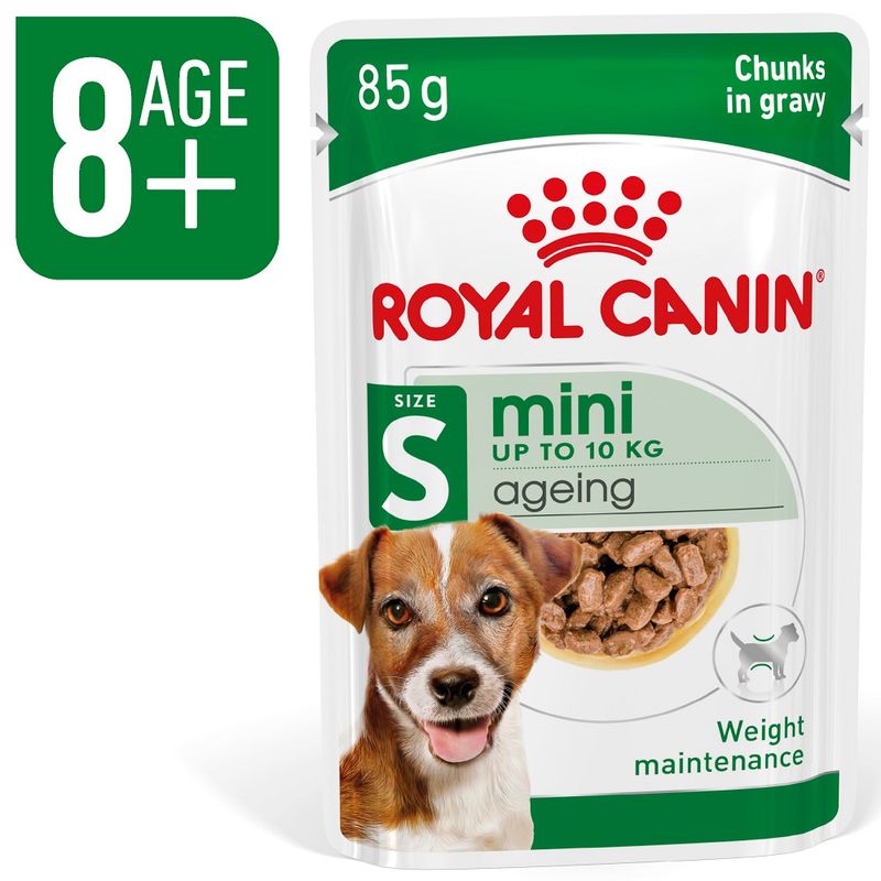 Zooplus Royal Canin Mini Ageing umido in salsa per cane Offerta speciale